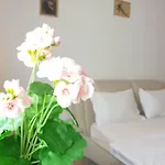 公寓式酒店 Urban