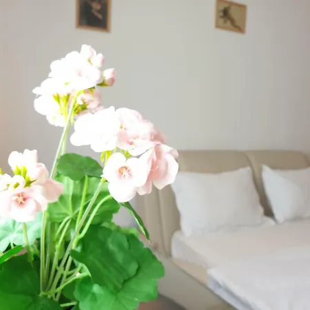 Hotel de apartamente Urban