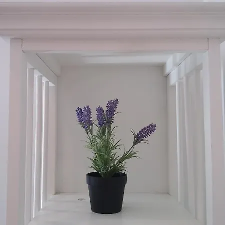 Urban מלון דירות 3*