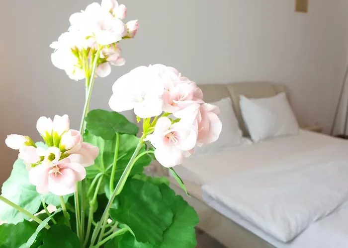 Urban شقة فندقية